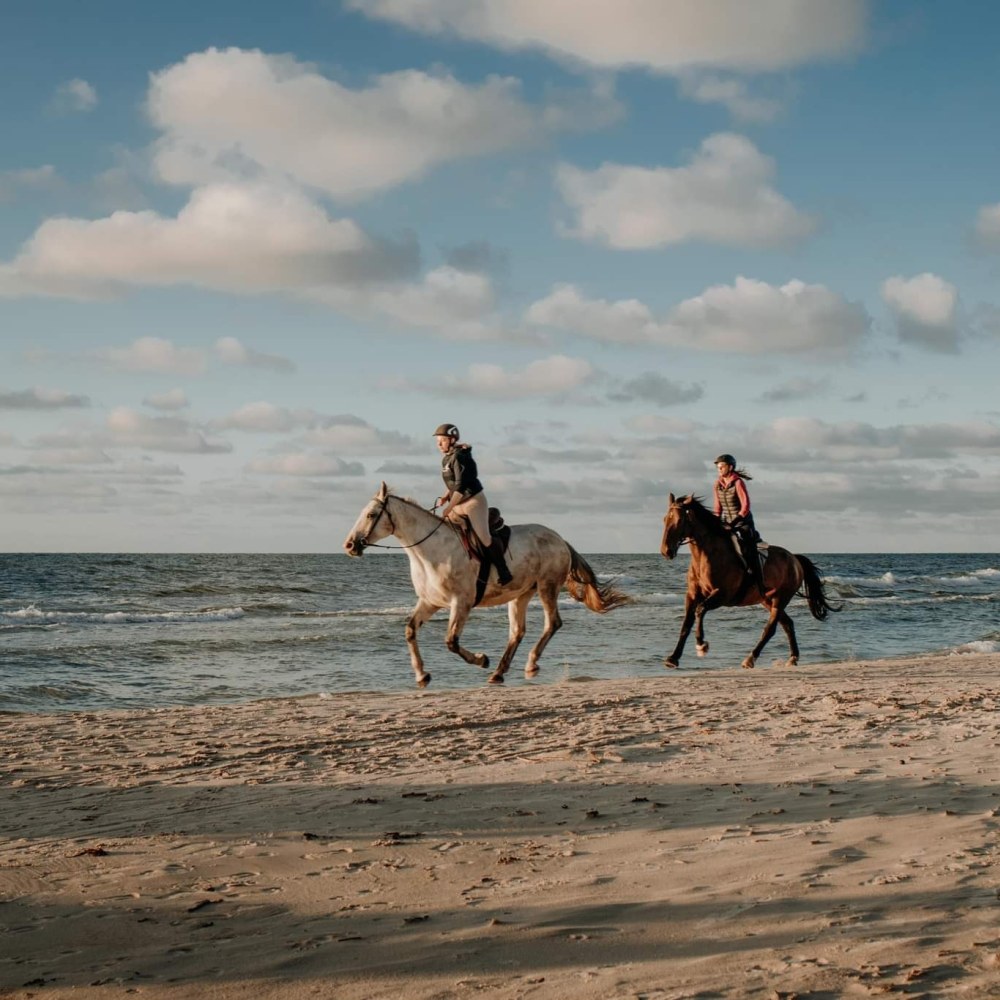Para ludzi jadących na galopujących koniach po piaszczystej plaży.